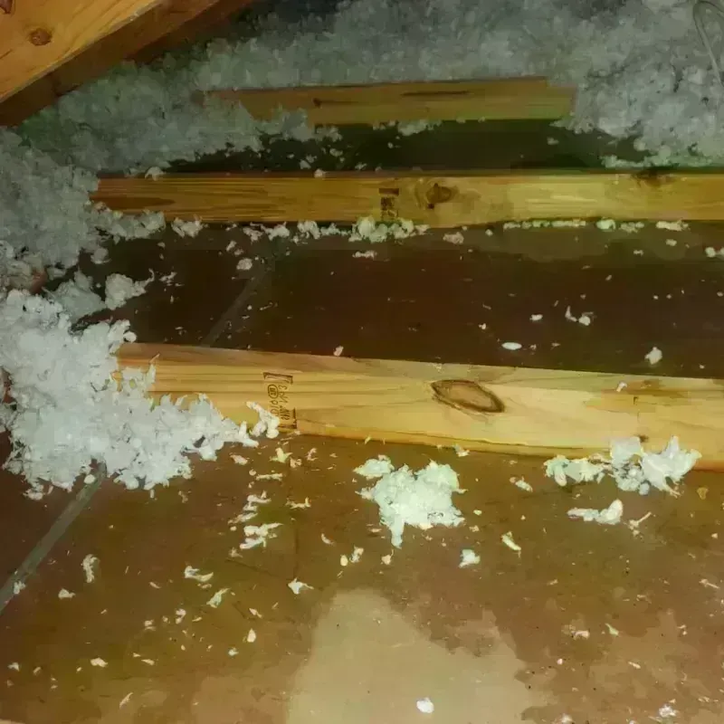 Attic Water Damage in Diablo, CA