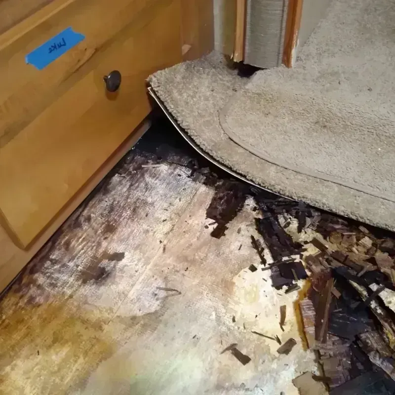 Wood Floor Water Damage in Diablo, CA